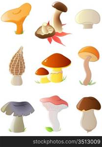 set of glossy forest mushrooms icons