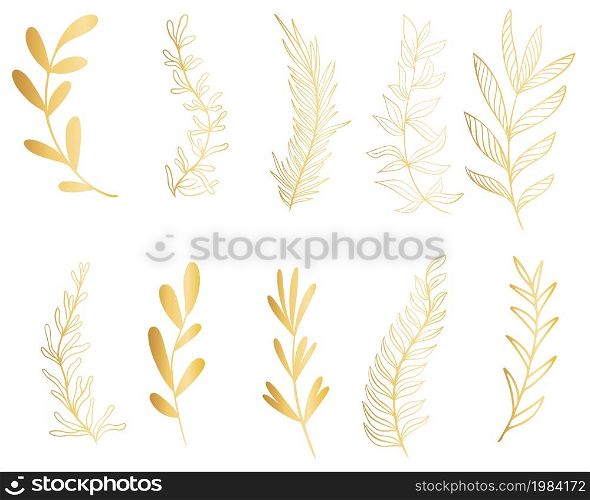 Set of golden botanical branches, vector illustration. Graceful natural twigs with leaves for the design of cards and congratulations. Hand drawing collection of leaves.. Set of golden botanical branches, vector illustration.