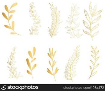 Set of golden botanical branches, vector illustration. Graceful natural twigs with leaves for the design of cards and congratulations. Hand drawing collection of leaves.. Set of golden botanical branches, vector illustration.