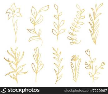 Set of golden branches with leaves and flowers, isolated object. Collection of botanical graceful beautiful plants. Bundle floral and leafy elements for design and decor, vector illustration.. Set of golden branches with leaves and flowers, isolated object.