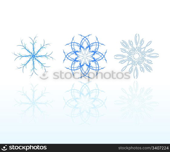 Set of graceful snowflakes with reflection