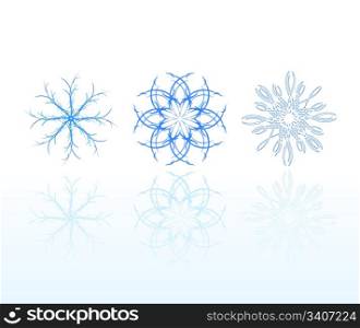 Set of graceful snowflakes with reflection