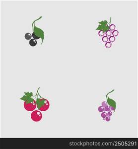 set of grapes and leaves on stem logo vector design