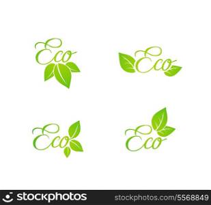 Set of grean leaf eco concept icons isolated vector illustration