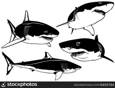 Set of Great White Shark Drawings - Black Illustrations Isolated on White Background, Vector
