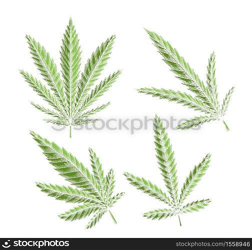 Set of green different leaves of marijuana with hatching. The object is separate from the background. Vector engraving element for menus, articles, cards and your creativity. Set of green different leaves of marijuana with hatching. The object is separate from the background.