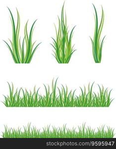 Set of green grass vector image