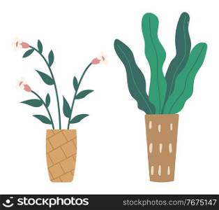 Set of green indoor houseplants and flowers in pots icons on white. Plants growing in pots or planters. Collection of beautiful natural home and office decorations. Trendy vector in flat cartoon style. Plants growing in pots or planters. Set of green indoor houseplants and flowers