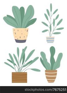 Set of green indoor houseplants and flowers in pots icons on white. Plants growing in pots or planters. Collection of beautiful natural home and office decorations. Trendy vector in flat cartoon style. Plants growing in pots or planters. Set of green indoor houseplants and flowers