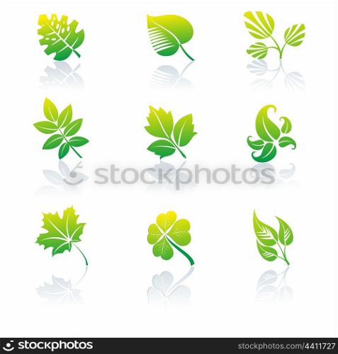 Set of green leaves logos. Vector illustration. . Green icons and graphics