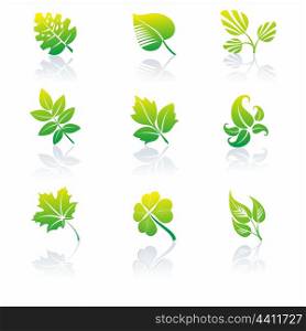 Set of green leaves logos. Vector illustration. . Green icons and graphics