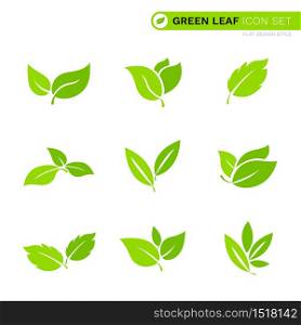 Set of green organic leaf logo flat bio eco icon design natural vector isolated on white background