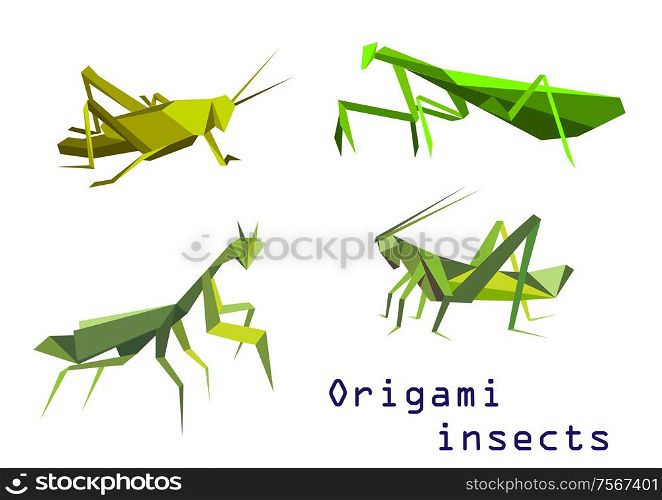 Set of green origami insects with a grasshopper, praying mantis, mantis and locust, side view colorful cartoon illustration. Set of green vector origami insects