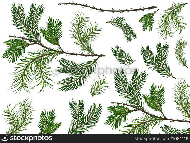 Set of Green Spruce Twigs