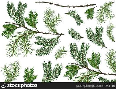 Set of Green Spruce Twigs