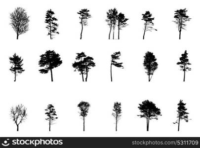 Set of Green Tree Isolated on White Background. Vector Illustration. EPS10