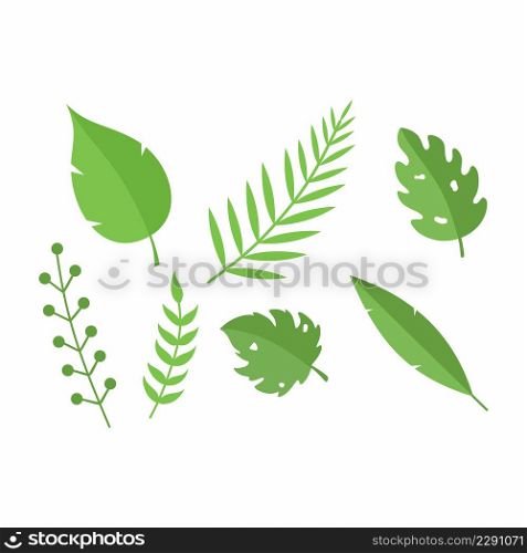 Set of green tropical branches. Summer plants and leaves for postcard decoration.