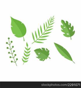 Set of green tropical branches. Summer plants and leaves for postcard decoration.