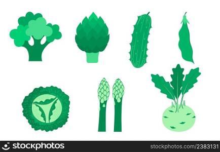 Set of green  vegetables   green pea, cucumber, cabbage,   broccoli,  asparagus, artichoke and kohlrabi. Healthy lifestyle. Vector illustration in flat style.