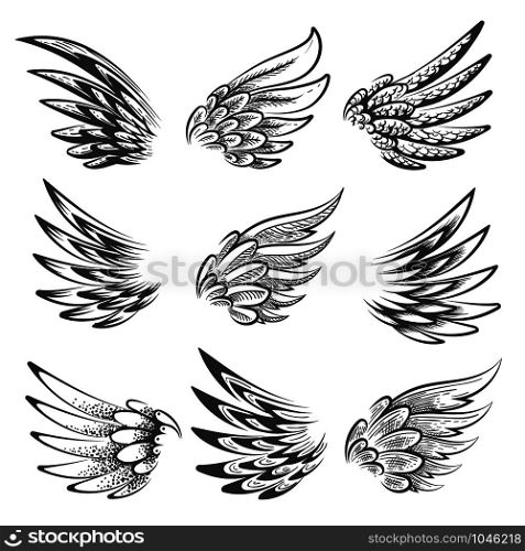 Set of hand drawn Bird Wings Logo or Emblems isolated on white. Vector illustration.