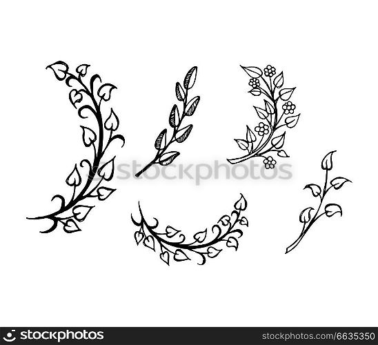 Set of hand drawn branches with leaves in heart shape hand drawn sketches symbols of love vector illustrations isolated on white background. Set of Hand Drawn Branches Leaves in Heart Shape