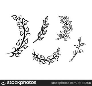 Set of hand drawn branches with leaves in heart shape hand drawn sketches symbols of love vector illustrations isolated on white background. Set of Hand Drawn Branches Leaves in Heart Shape