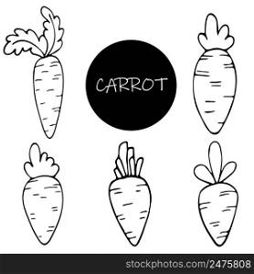 Set of hand drawn carrots in sketch doodle cartoon style for posters, recipe, culinary design, easter design, greeting cards. Isolated on white. Doodle vector illustration. Set of hand drawn carrots in sketch doodle style for posters, recipe, culinary design, easter design, greeting cards. Isolated on white. Doodle vector illustration.