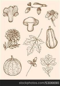 Set of hand drawn decorative autumn design elements in vintage style.
