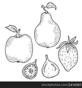 Set of hand drawn doodle fruits and berries - apple and pear, strawberry and fig. Vector illustration in style of linear drawings for design, decor and decoration