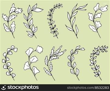 Set of Hand drawn doodle vector flowers, leaves and branches. Collection of tree Floral, plant elements.. Set of Hand drawn doodle vector flowers, leaves and branches. Collection of tree Floral, plant elements