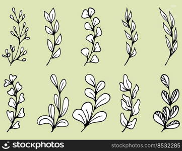 Set of Hand drawn doodle vector leaves and branches. Collection of tree Floral, plant elements.. Set of Hand drawn doodle vector leaves and branches. Collection of tree Floral, plant elements