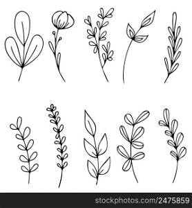 Set of Hand drawn doodle vector leaves and branches. Floral, plant elements.. Set of Hand drawn doodle vector leaves and branches. Floral, plant elements