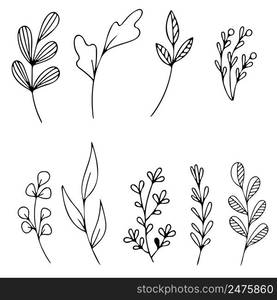 Set of Hand drawn doodle vector leaves and branches. Floral, plant elements.. Set of Hand drawn doodle vector leaves and branches. Floral, plant elements