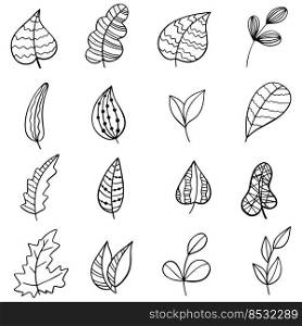 Set of Hand drawn doodle vector leaves and branches. Floral, plant elements. Vector doodles.. Set of Hand drawn doodle vector leaves and branches. Floral, plant elements. Vector doodles