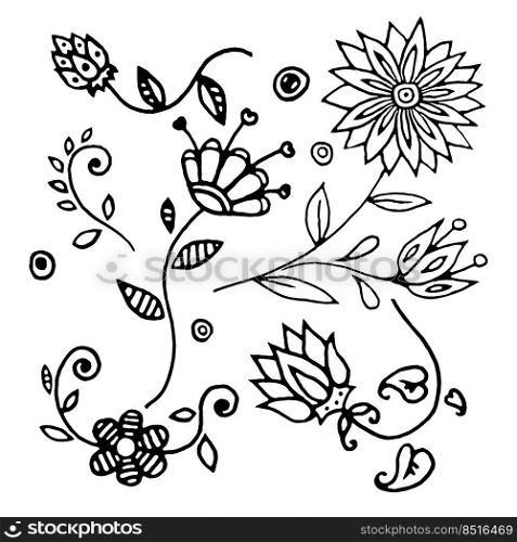 Set of hand-drawn flowers. Floral decor for covers, cards, stationery, invitations. Vector.