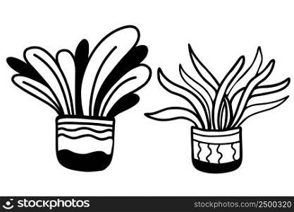 Set of hand drawn in pots illustrations, houseplants in doodle style. Vector illustration. Isolated outline graphic elements for design, decor, decoration, postcards And print