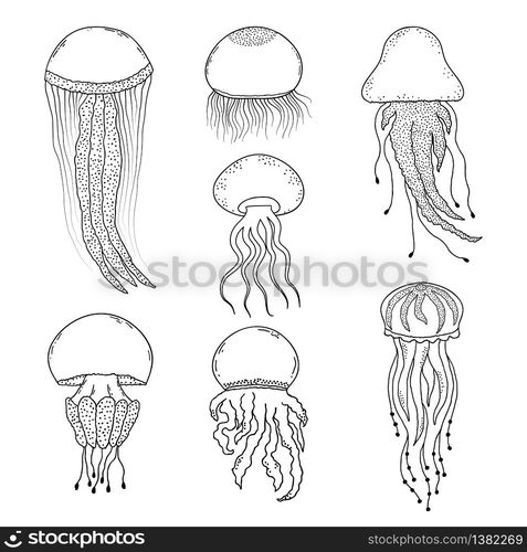 Set of hand drawn jellyfishes in doodle style on white background. Set of hand drawn jellyfishes