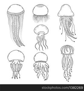Set of hand drawn jellyfishes in doodle style on white background. Set of hand drawn jellyfishes