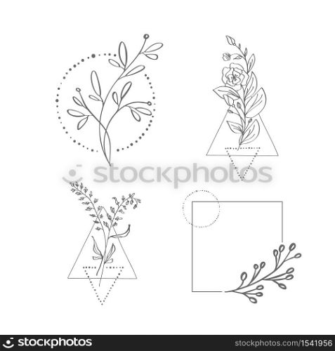 Set of hand drawn minimalistic branch with leaves and geometric elements on white background vector illustration. Doodle style. Design icon print, logo poster, symbol decor.. Set of hand drawn minimalistic branch with leaves and geometric elements on white background vector illustration. Doodle style. Design icon print, logo poster, symbol decor