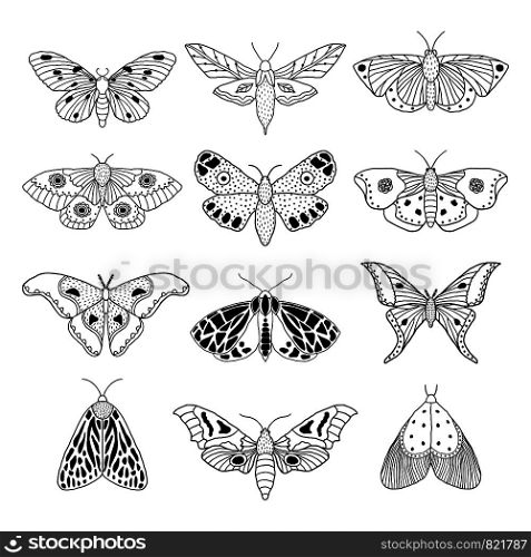 Set of hand drawn moths and butterflies in doodle style on white background.