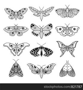 Set of hand drawn moths and butterflies in doodle style on white background.