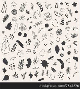 Set of hand drawn vector abstract seasonal botanical and natural doodles