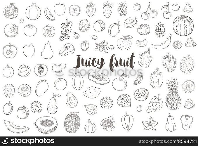Set of hand drawn vector doodle fruit on a white background