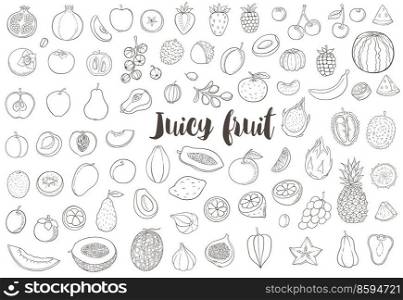 Set of hand drawn vector doodle fruit on a white background