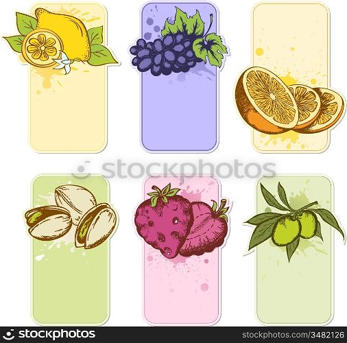set of hand drawn vector fruit labels