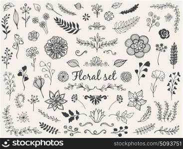 Set of hand drawn vector nature doodles. Decorative floral elements for design.