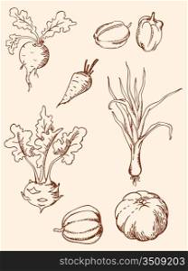 set of hand drawn vegetables in retro style
