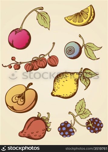 set of hand drawn vintage fruits