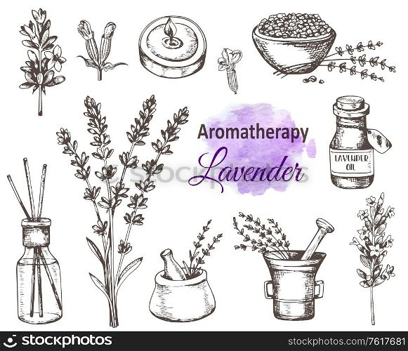 Set of hand drawn vintage lavender flowers and perfumed aromatherapy ingredients. Vector illustration