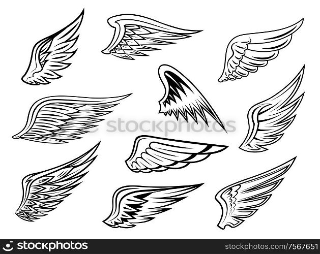 Set of heraldic vector wings in black and white with feather detail for tatto or logo design, isolated on white